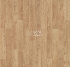 Линолеум Forbo Eternal Wood 11912 whitewashed oak фото 1 | FLOORDEALER